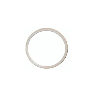 Haldex Bearing Piston For T50 Actuator 2109898 