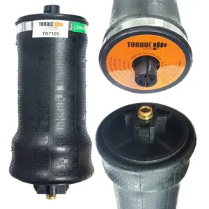 Norbar Torque Tools Inc AIR BAG 3873526 