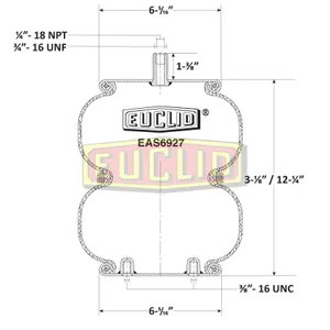 Euclid Air Spring 6350338 