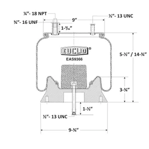 Euclid Air Spring 6351126 