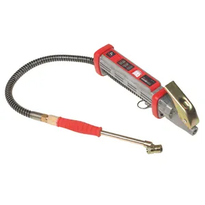 Group 31 GAUGE 1037072 