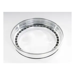 Transtar Industries Piston,6L80/90, 3-5-Revclpiston 1526835 