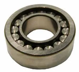 SKF Bearing 1795061 