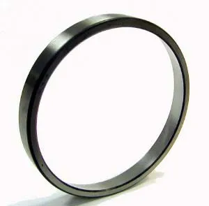 SKF Bearing Race 1794105 