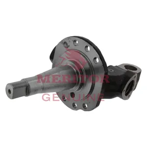 Meritor Steer Knuckle 737318 