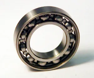 SKF Bearing 1795384 