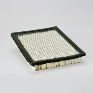 Donaldson Air Filter 275602 