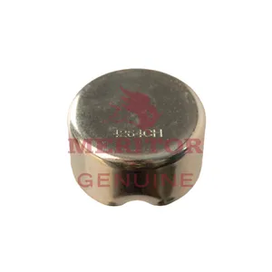 Meritor EX225LS SLIDE PIN END CAP SHORT SIDE 1631329 