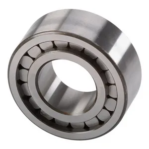 National Cylindrical Bearing 1935061 