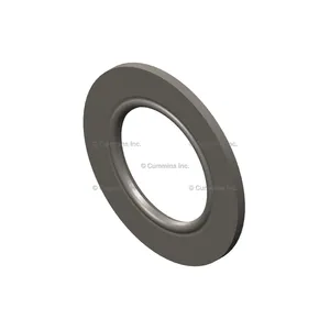 Cummins Washer 326116 