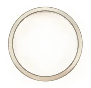 SKF Bearing Race 1787485 