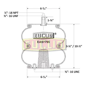 Euclid Air Spring 6350290 