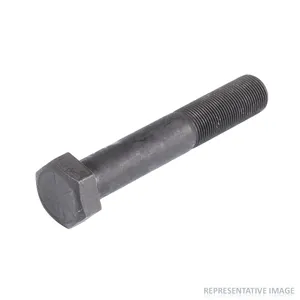 Holland CAP SCRW,HEX 1. 597524 