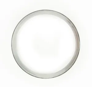 SKF Bearing Race 1787194 