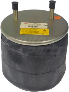 Dayton Air Spring 1869333 