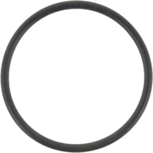 Spicer O RING 514220 