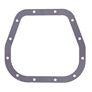 Spicer DIFFERENTIAL 428972 