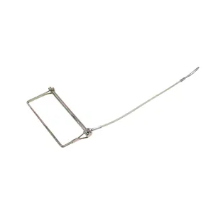 Holland PIN AND LANYARD 620222 