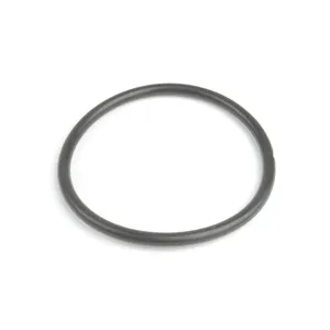 Spicer HYDRAULIC O RI 527338 