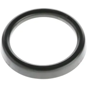 Spicer SLINGER 798956 
