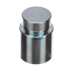 Bendix PLUNGER 439868 