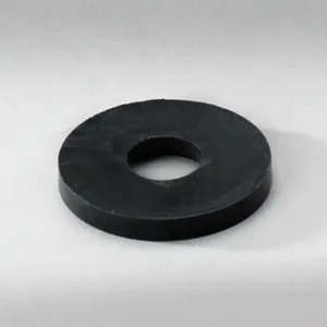 Donaldson GASKET SR 20 1079288 