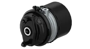 Wabco TRISTOP CYLINDE 880786 