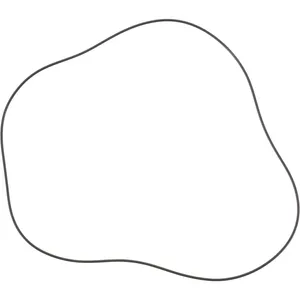 Spicer O RING 502544 