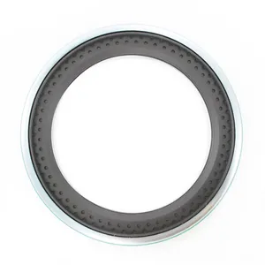 SKF Seal 494064 
