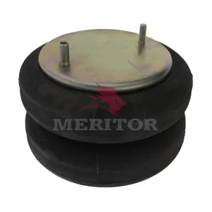 Firestone Air Spring 769980 