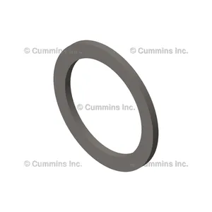 Cummins Washer Plain 383584 
