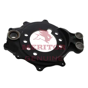 Meritor Ay-Spider Bk 2746048 