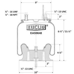 Euclid Air Spring 6351144 