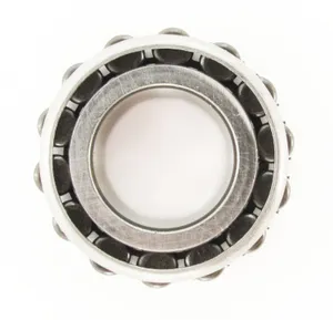 SKF Bearing 1795481 