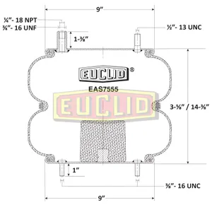 Euclid Air Spring 6351282 