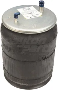 Dayton Air Spring 3268826 