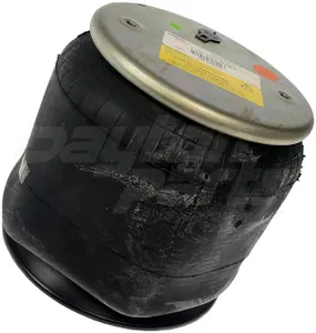 Dayton Air Spring 1144281 