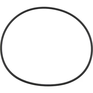 Spicer O RING 508756 
