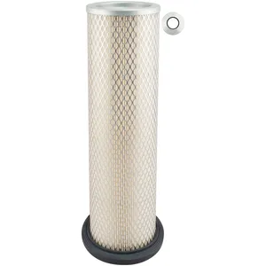 Baldwin AIR FLTER 276048 