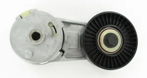 SKF Pulley 1783029 