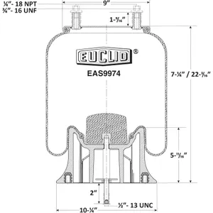 Euclid Air Spring 6350546 
