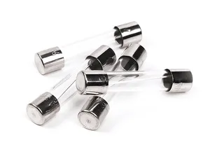 Grote Glass Fuse 1835651 