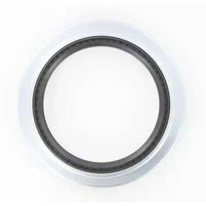 SKF Seal 294948 