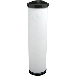 Baldwin Air Element 249860 