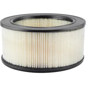 Baldwin AIR FILTER 275172 
