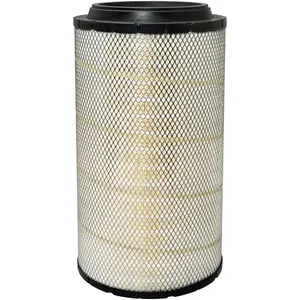 Baldwin Air Filter 296304 