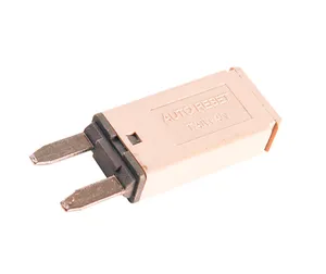 Grote Circuit Breaker 279656 