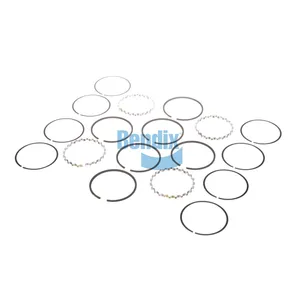 Bendix SPARES KIT 433356 