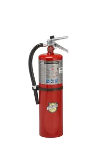 Buckeye Fire Extinguisher 213582 