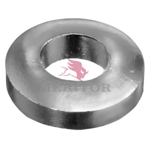 Meritor COILLFT SPG WS 773762 